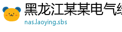 黑龙江某某电气经销部